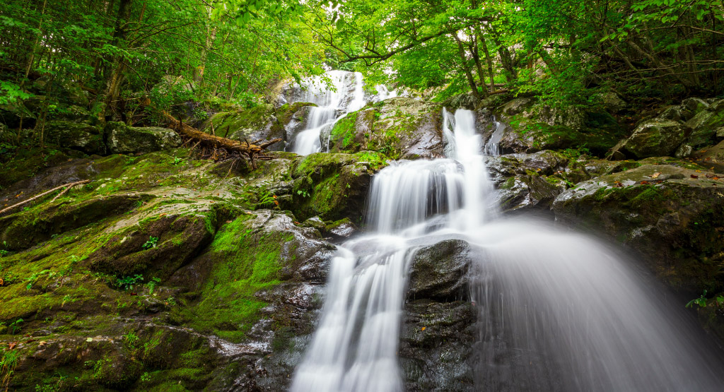 a moss covered waterfall in the forest of Shenandoah Valley